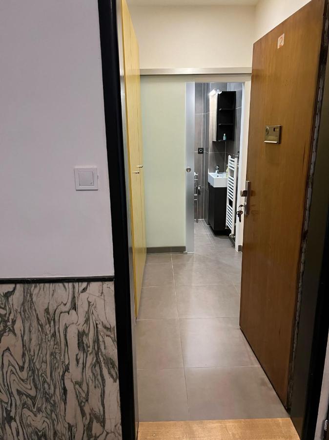 Studio Apartment In Center برنو المظهر الخارجي الصورة